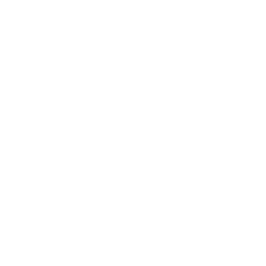 NEST SEEKERS